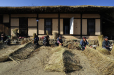 [한 장의 다큐] 새 초가를 위하여