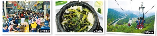 아리랑열차 몸 싣고 정선5일장 곤드레밥 쓱쓱