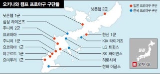 구장 낡았는데…오키나와로 몰려가는 까닭은?