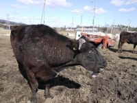 “정부는 안전하다지만 젊은이들 돌아오기 쉽지 않을 것”