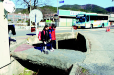 붉은 동백꽃, 상춘객 낯빛에도 봄이 깃들었도다