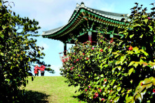 붉은 동백꽃, 상춘객 낯빛에도 봄이 깃들었도다