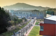[요즘뜨는학과] 한국전통문화대학교 문화재관리학과