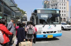 차창 밖으로 호숫가 뒤덮는 봄꽃들의 행진