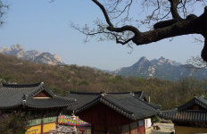 서울 인근 템플스테이 사찰 8선