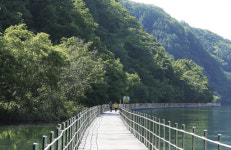 굽이굽이 산길·물길 완행버스 따라 청춘도 흘러가네