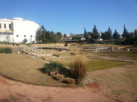 오늘날 독재를 빼닮은 참주정…3대까지 간 적은 없었다