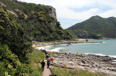 북적북적 진도 여행, 기억과 위로의 또다른 방식