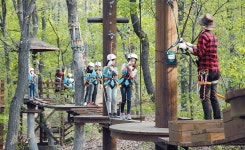 아빠는 치유 숲, 아이는 유아 숲으로