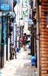 푸른 꽃나무와 할머니들 웃음꽃이 골목 풍경 이루는 곳