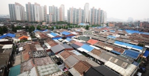 푸른 꽃나무와 할머니들 웃음꽃이 골목 풍경 이루는 곳