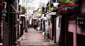 푸른 꽃나무와 할머니들 웃음꽃이 골목 풍경 이루는 곳