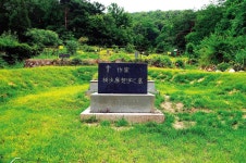 표본실에 갇힌 청개구리의 암울한 현실은 변함없이…