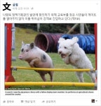 나향욱  “민중은 개·돼지” …‘개·돼지’들의 반응은?
