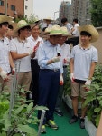 아파트 옥상에 일군 농장, 자라는 도시공동체