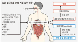 [뉴스룸] ‘장내미생물과 어떻게 사이좋게 공생할까’