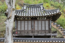 이 달콤한 사과향, 이몽룡도 맡았을까