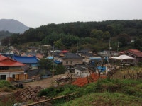  샐 물도 뺄 살도 없어 죽는다  