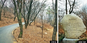  사색의 길에서 촛불처럼 살다간 작가들을 만나다 