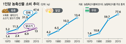  1인당 13.4㎏… 달걀 소비…조류독감의 역습 