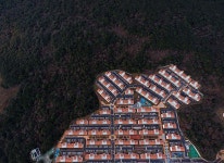  [이순간]제주 허파의 신음, 숨이 가빠진다 