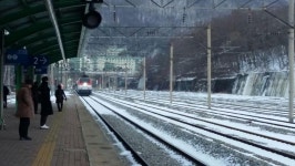  철도 벽지노선 ‘반토막’…주민들 “병원은 어찌 가나” 