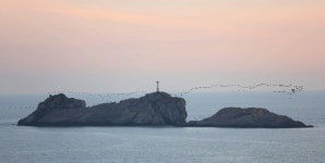  개도 사람도, 봉화산 돌아 막걸리 한잔 ‘캬’ 