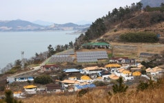  꽃길에 취하고, 꽃향기에 홀리고 