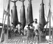  사람 좋아하고 술 좋아한 헤밍웨이 