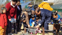  ‘늘 한발 늦는 인간’ 두꺼비 순찰대 꾸려…이미 3마리 숨져, “동물찻길사고 안돼” 