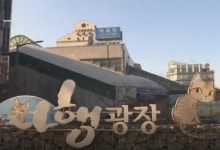  고양이 역곡역장 ‘다행이’ 실종…누리꾼들 “홍보하고 버렸나” 