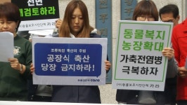  “예방적 살처분은 동물학대” 동물복지농장주의 호소 