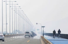  방조제 길따라 일렁일렁 ‘봄’ 