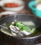  양태국·유채나물·멜튀김…이게 제주의 봄 맛이죠 