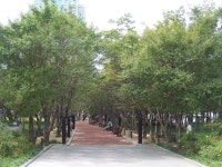  항일정신 깃든 대구 국채보상공원이 스마트공원 변신  