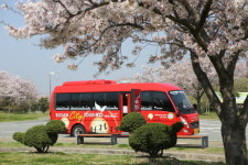  부산에 가면 다시 너를… 짧은 봄 아쉽다면 낙동강으로 