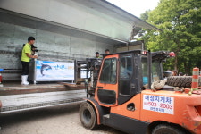 돌고래 ‘태지’야, 제주 친구들과 잘 지내렴 