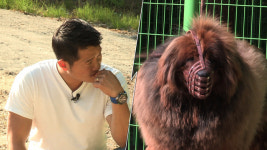  개 훈련법이란 없다, 필요한 건 이해와 기다림 