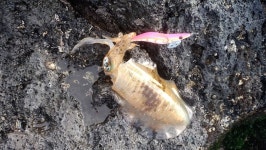  할 일 없어진 사무라이들은 이렇게 놀았다 