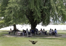  [한 장의 다큐] 은행나무 그늘 