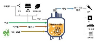  이산화탄소로 친환경 연료 만든다 