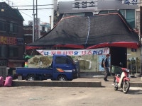  반려동물 인구 1천만 시대, 초복 앞둔 모란시장 ‘찬바람’ 