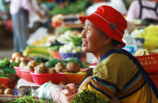  ‘제주 할머니 장터’ 할망 “이거 왕 하영 사갑써” 
