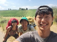  “단돈 30만원 들고 ‘농장 세계일주’ 도전해보니…” 