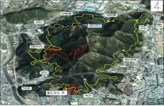  순천 봉화산 출렁다리 친환경이야, 반환경이야? 