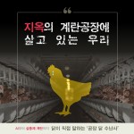  [카드뉴스] 닭이 직접 말하는 ‘공장 닭 수난사’ 