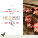  [카드뉴스] 닭이 직접 말하는 ‘공장 닭 수난사’ 