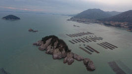  “고흥 앞바다에 있는 ‘독섬·독도·석도’가 증언합니다” 