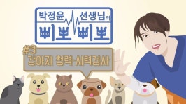  “어느 쪽에서 나는 소리개애~?” 