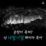  [카드뉴스] 우리가 몰랐던 실내낚시터 물고기의 삶 